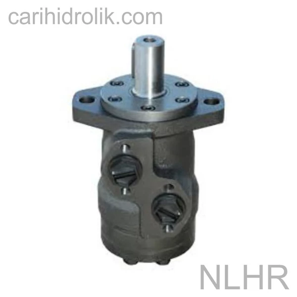 Nucleo NLHR Hydraulic Orbital Motor 