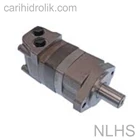 Nucleo NLHS Hydraulic Gear Motor  1